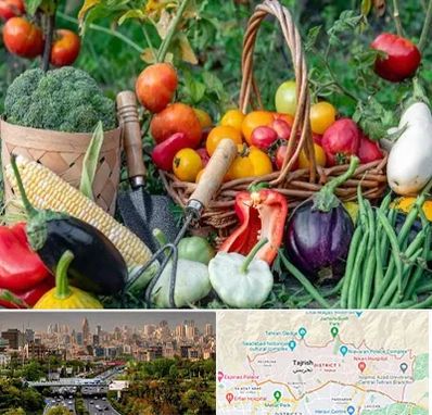 فروشگاه لوازم کشاورزی در منطقه 1 تهران 