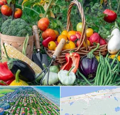 فروشگاه لوازم کشاورزی در فریدونکنار