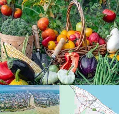 فروشگاه لوازم کشاورزی در تنکابن