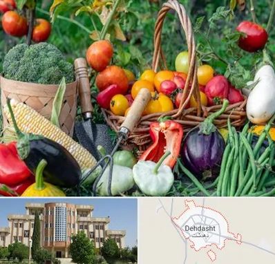 فروشگاه لوازم کشاورزی در دهدشت