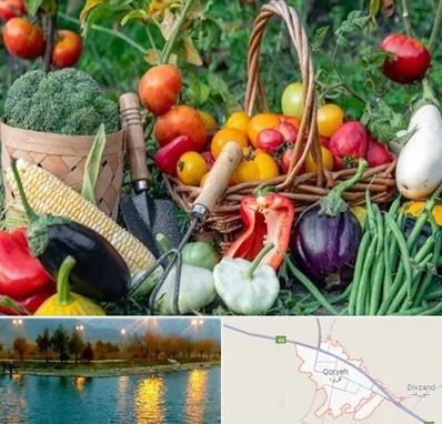 فروشگاه لوازم کشاورزی در قروه