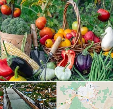 فروشگاه لوازم کشاورزی در مراغه