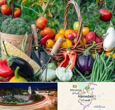 فروشگاه لوازم کشاورزی در همدان