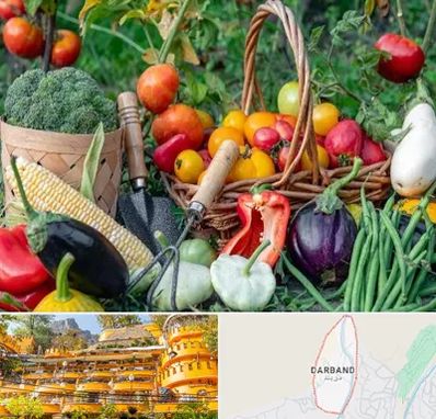 فروشگاه لوازم کشاورزی در دربند