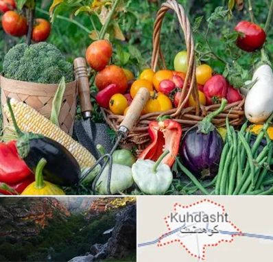 فروشگاه لوازم کشاورزی در کوهدشت