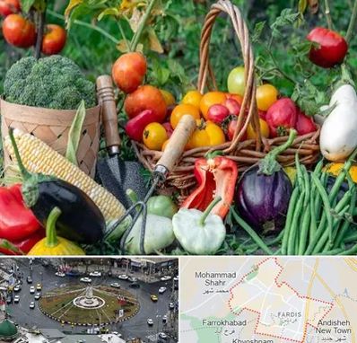 فروشگاه لوازم کشاورزی در فردیس کرج 