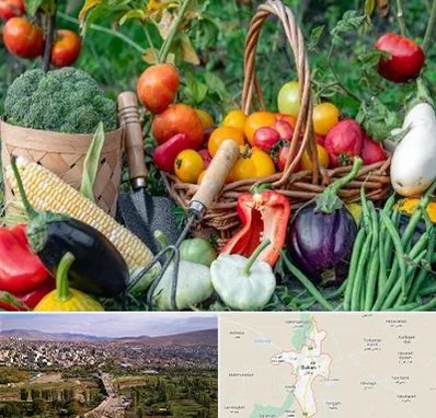 فروشگاه لوازم کشاورزی در بوکان