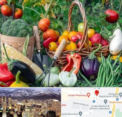 فروشگاه لوازم کشاورزی در جردن 