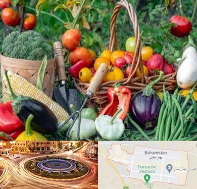 فروشگاه لوازم کشاورزی در بهارستان