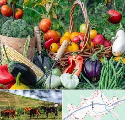 فروشگاه لوازم کشاورزی در تالش