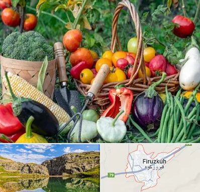 فروشگاه لوازم کشاورزی در فیروزکوه