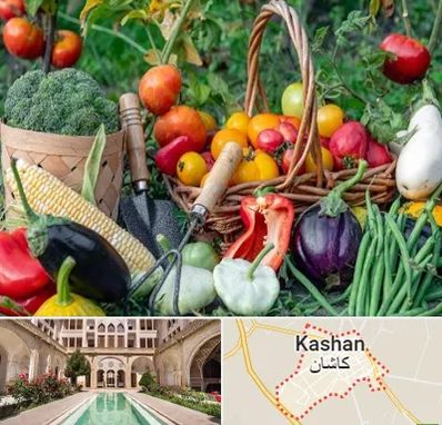 فروشگاه لوازم کشاورزی در کاشان