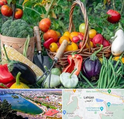 فروشگاه لوازم کشاورزی در لاهیجان