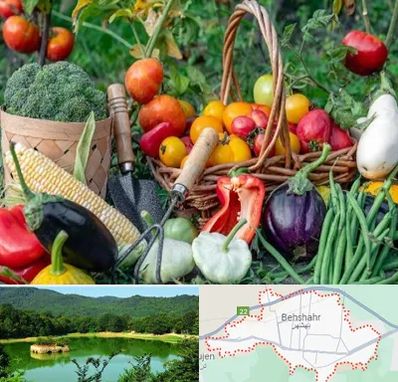 فروشگاه لوازم کشاورزی در بهشهر