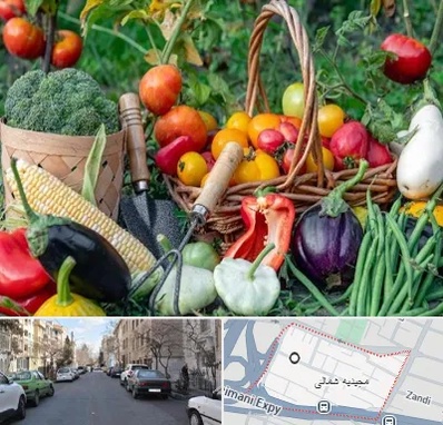 فروشگاه لوازم کشاورزی در مجیدیه شمالی