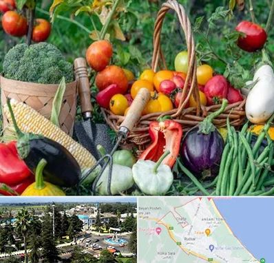 فروشگاه لوازم کشاورزی در رودسر