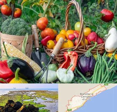 فروشگاه لوازم کشاورزی در بندرلنگه