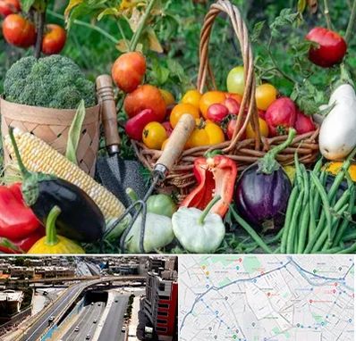 فروشگاه لوازم کشاورزی در ستارخان شیراز 