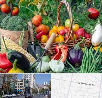 فروشگاه لوازم کشاورزی در کامرانیه