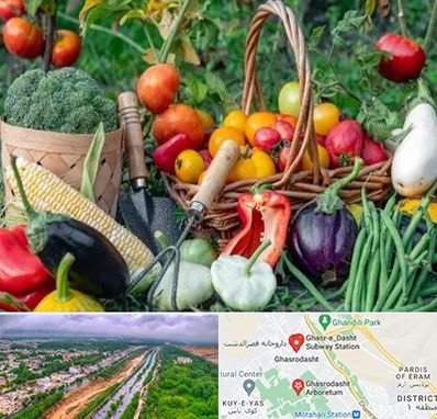 فروشگاه لوازم کشاورزی در قصرالدشت شیراز 