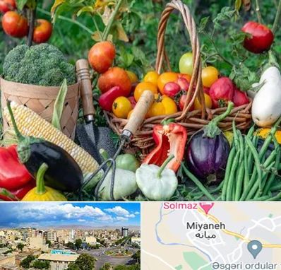 فروشگاه لوازم کشاورزی در میانه