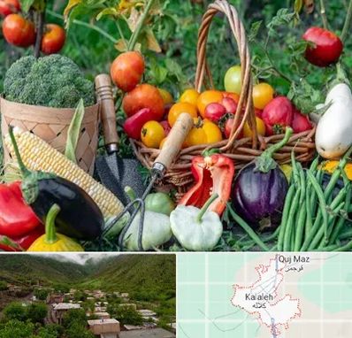 فروشگاه لوازم کشاورزی در کلاله