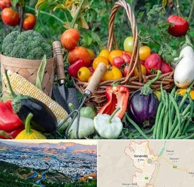 فروشگاه لوازم کشاورزی در سنندج