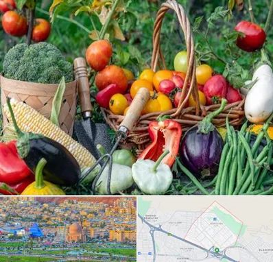 فروشگاه لوازم کشاورزی در رشدیه تبریز