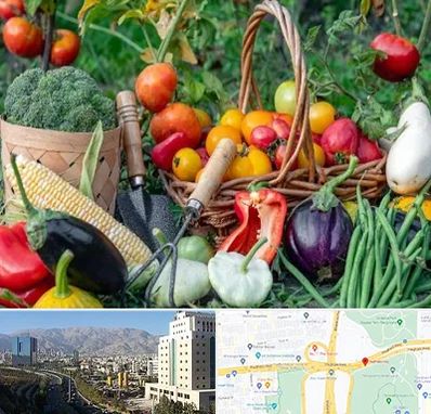 فروشگاه لوازم کشاورزی در حقانی 