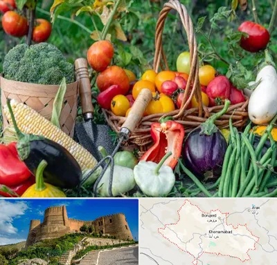فروشگاه لوازم کشاورزی در لرستان