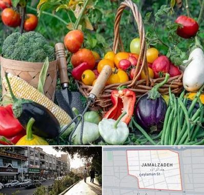 فروشگاه لوازم کشاورزی در خیابان جمالزاده