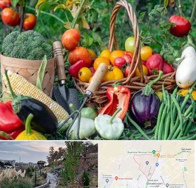 فروشگاه لوازم کشاورزی در باغستان کرج 