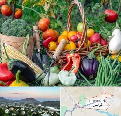 فروشگاه لوازم کشاورزی در لواسان