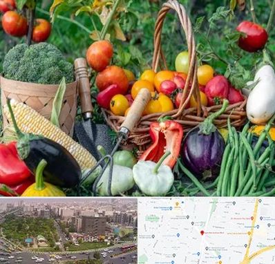 فروشگاه لوازم کشاورزی در آیت الله کاشانی 