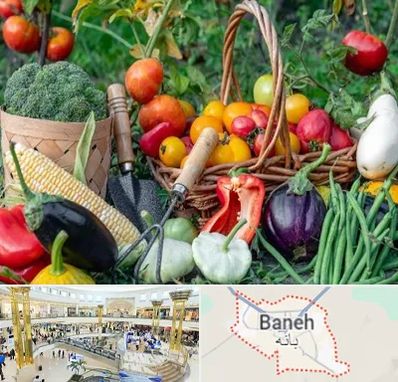 فروشگاه لوازم کشاورزی در بانه