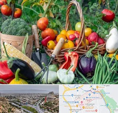 فروشگاه لوازم کشاورزی در معالی آباد شیراز 