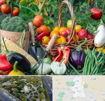 فروشگاه لوازم کشاورزی در کاشمر