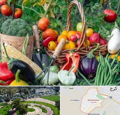 فروشگاه لوازم کشاورزی در مهرشهر کرج 