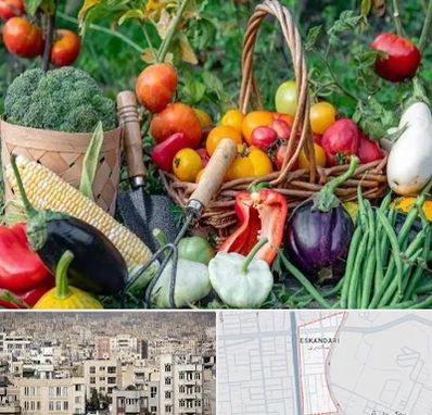 فروشگاه لوازم کشاورزی در اسکندری