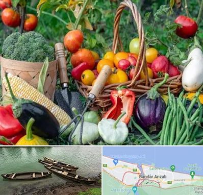 فروشگاه لوازم کشاورزی در بندر انزلی