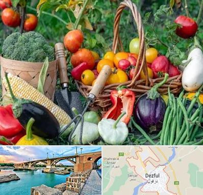 فروشگاه لوازم کشاورزی در دزفول