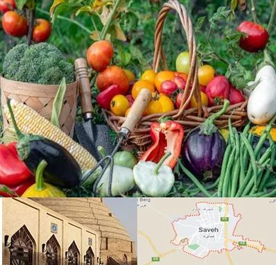 فروشگاه لوازم کشاورزی در ساوه