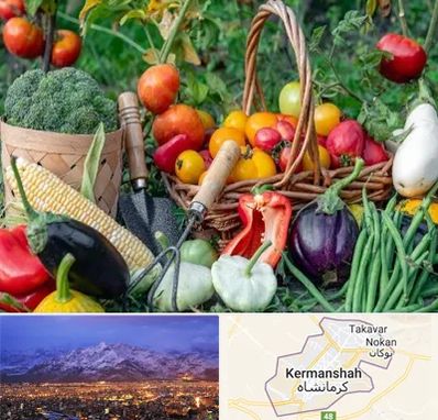 فروشگاه لوازم کشاورزی در کرمانشاه