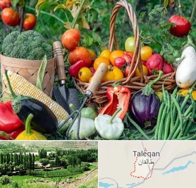 فروشگاه لوازم کشاورزی در طالقان