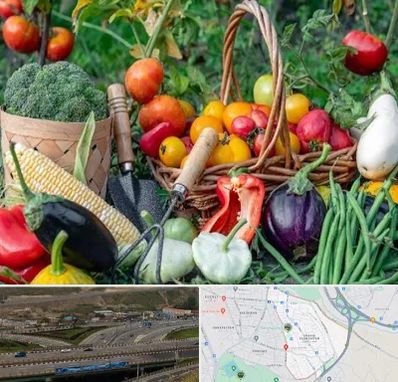 فروشگاه لوازم کشاورزی در یاغچیان تبریز