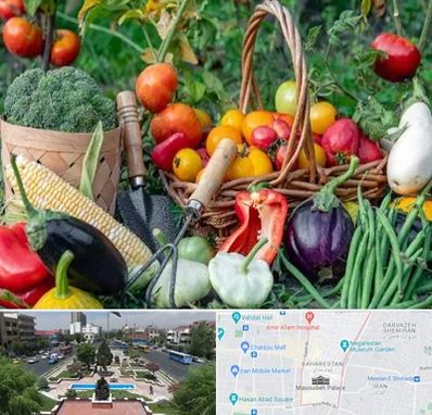 فروشگاه لوازم کشاورزی در بهارستان 