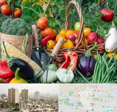 فروشگاه لوازم کشاورزی در منطقه 5 تهران 