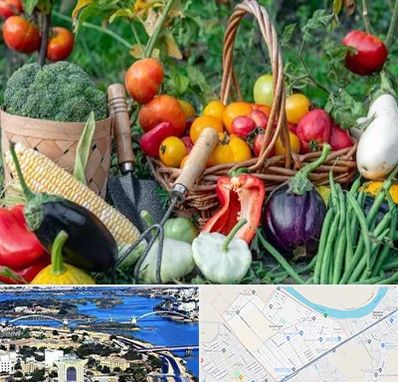 فروشگاه لوازم کشاورزی در کوروش اهواز 