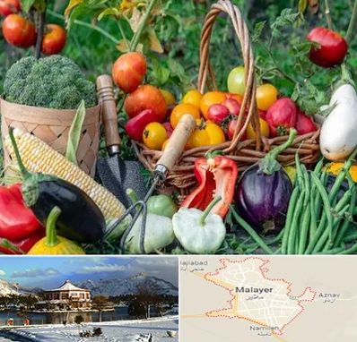 فروشگاه لوازم کشاورزی در ملایر