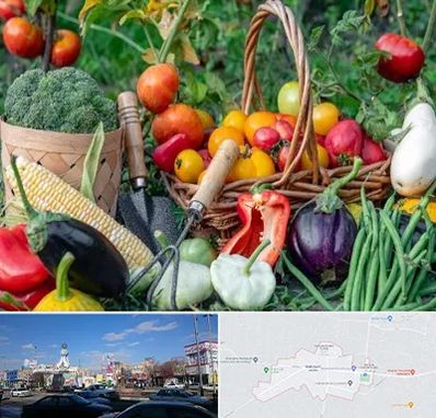 فروشگاه لوازم کشاورزی در ماهدشت کرج 